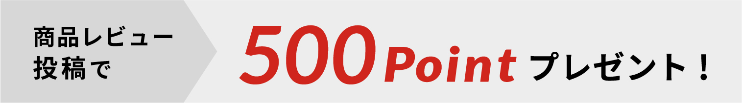レビュー投稿で500ptプレゼント