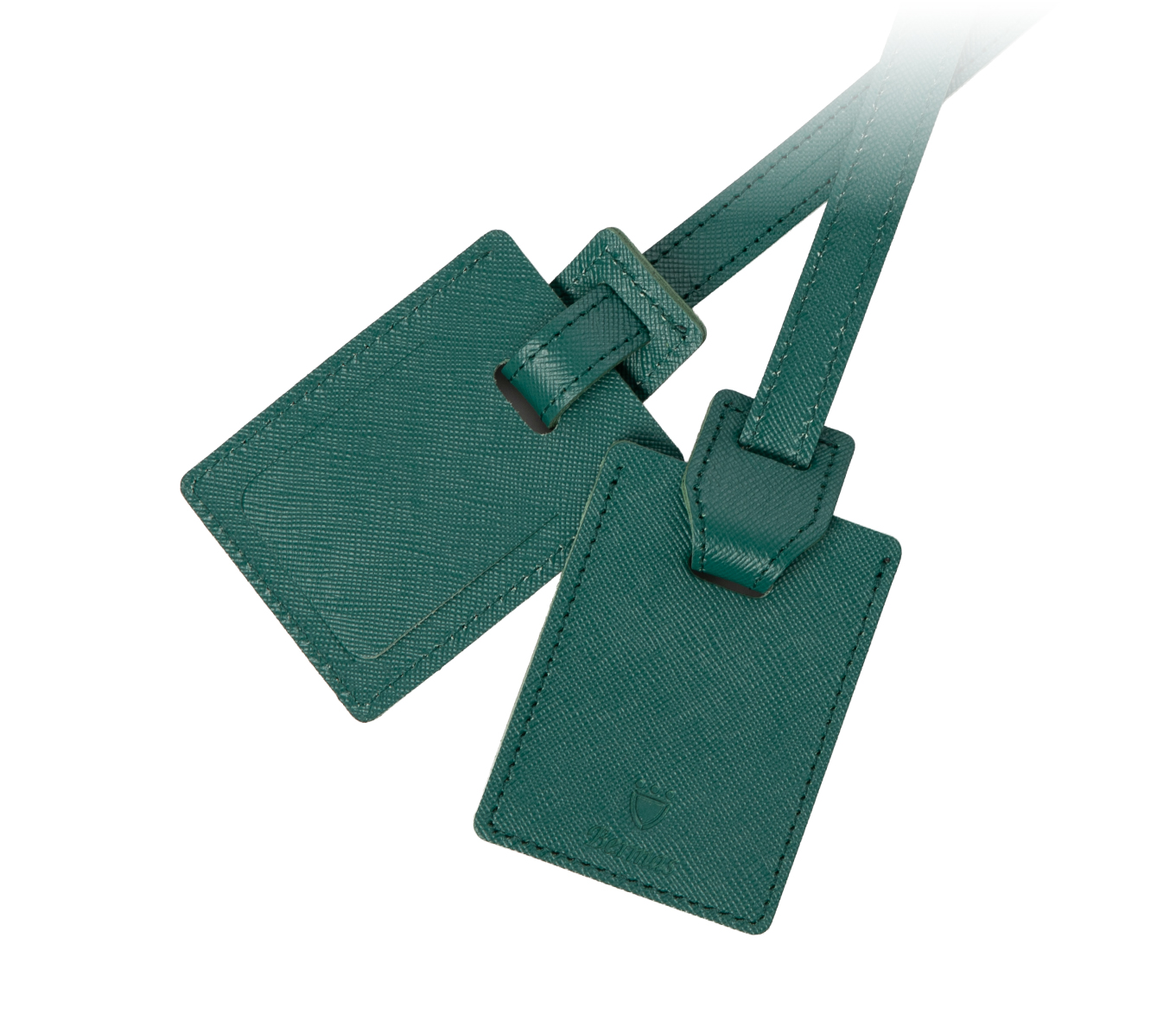 春季限定カラー アイビーグリーン